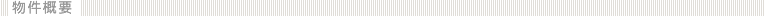 ݔЉ